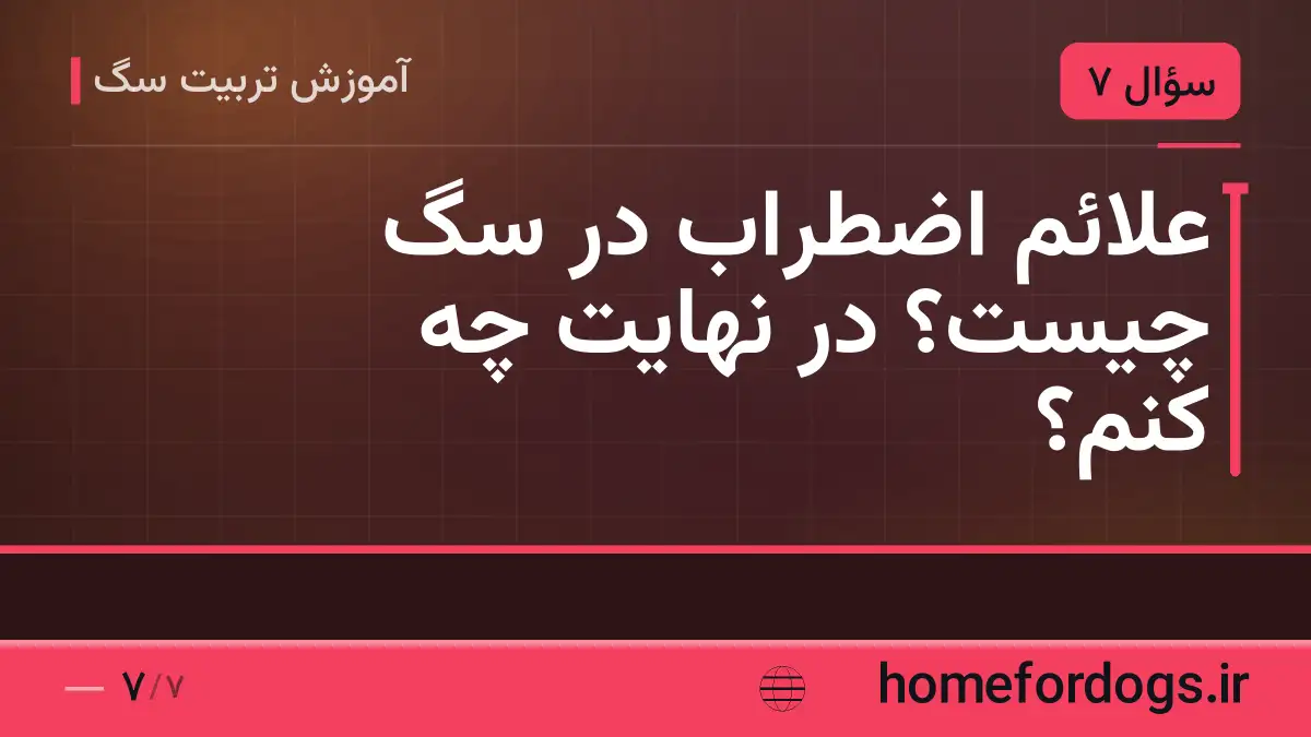 علائم اضطراب در سگ چیست؟ در نهایت چه کنم؟