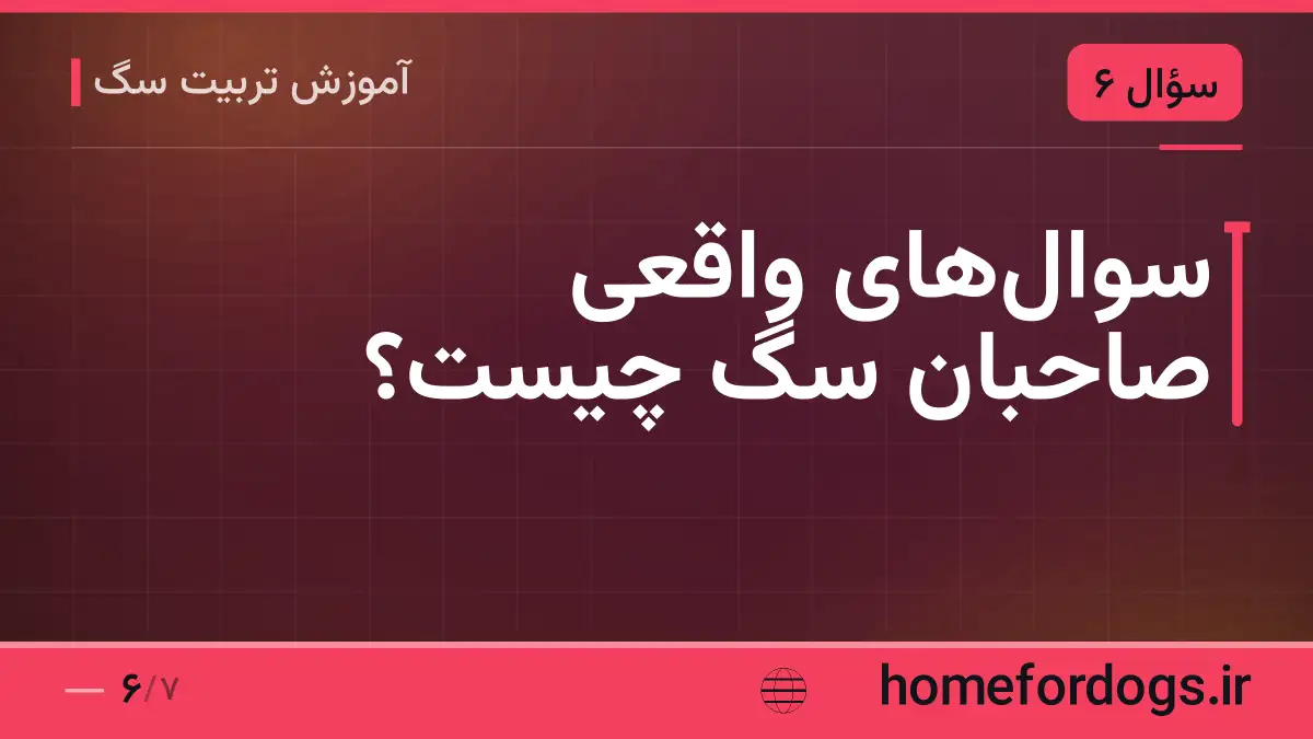 سوالهای واقعی صاحبان سگ چیست؟