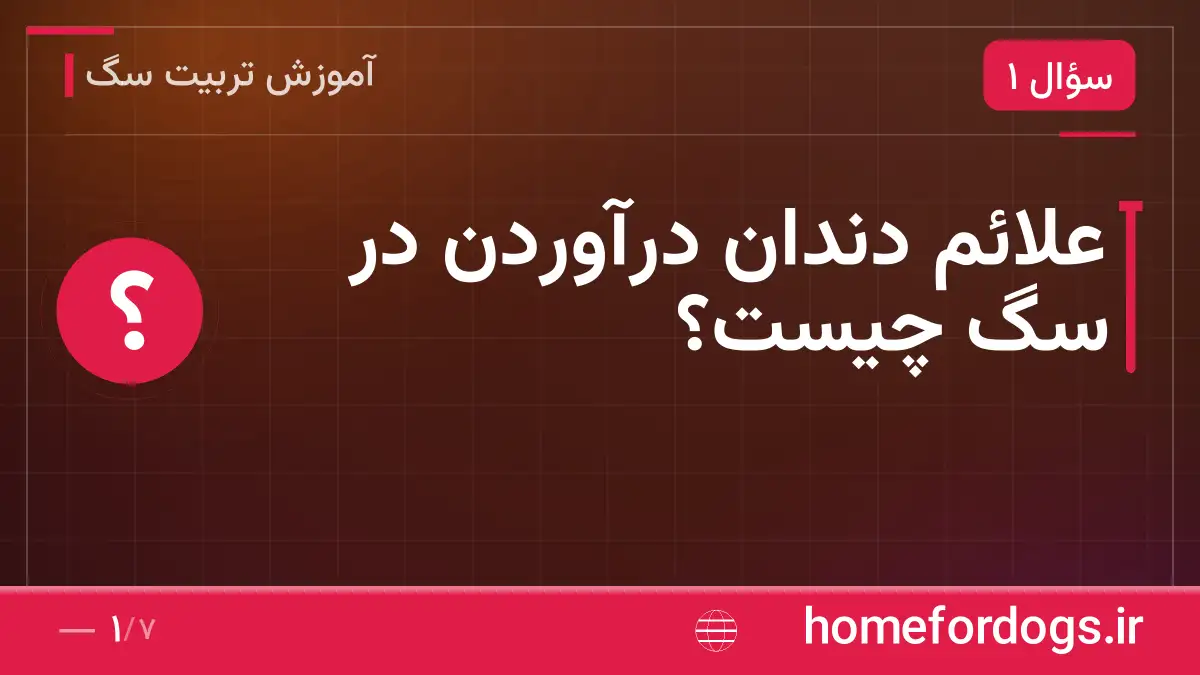 علائم دندان درآوردن در سگ چیست؟