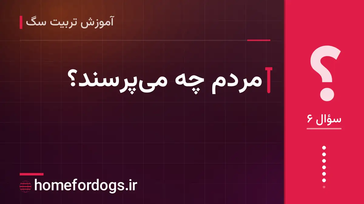 مردم چه می‌پرسند؟