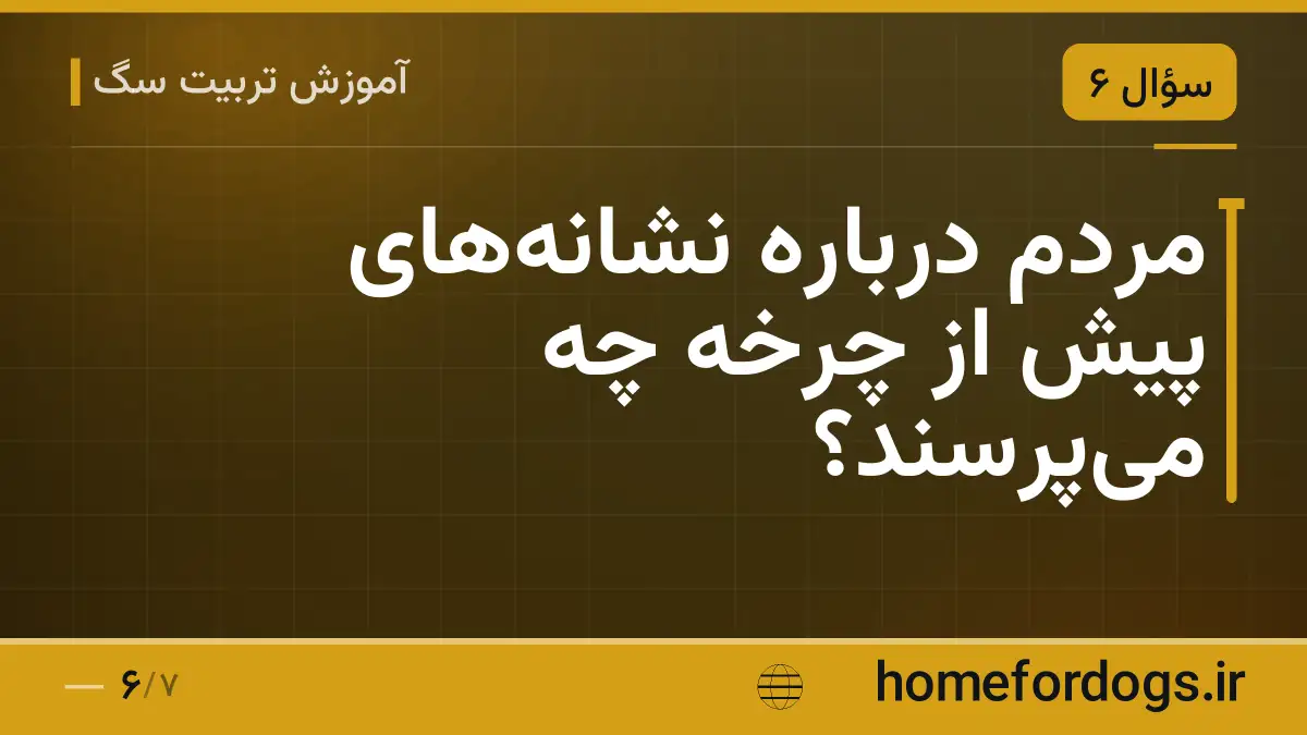 مردم درباره نشانه‌های پیش از چرخه چه می‌پرسند؟