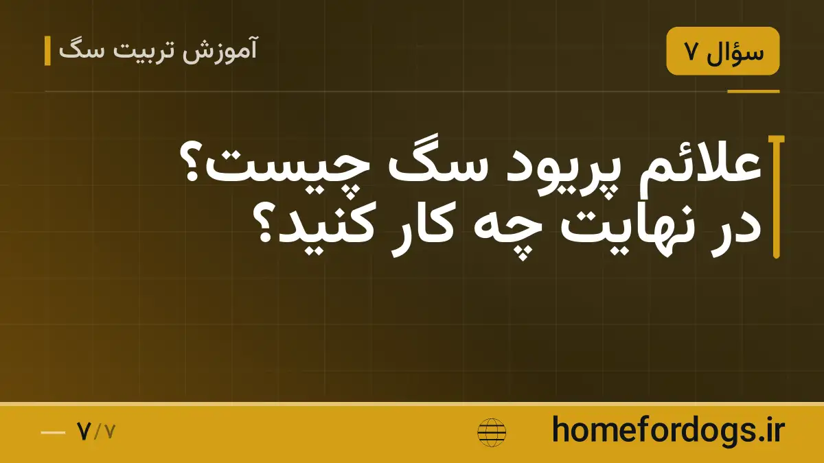 علائم پریود سگ چیست؟ در نهایت چه کار کنید؟