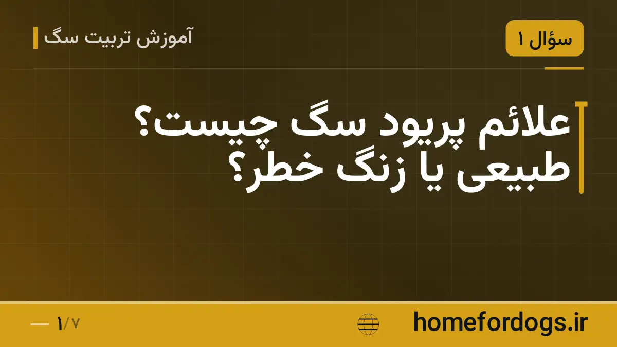 علائم پریود سگ چیست؟ طبیعی یا زنگ خطر؟