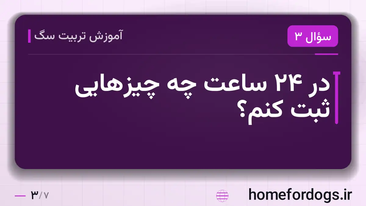 در ۲۴ ساعت چه چیزهایی ثبت کنم؟