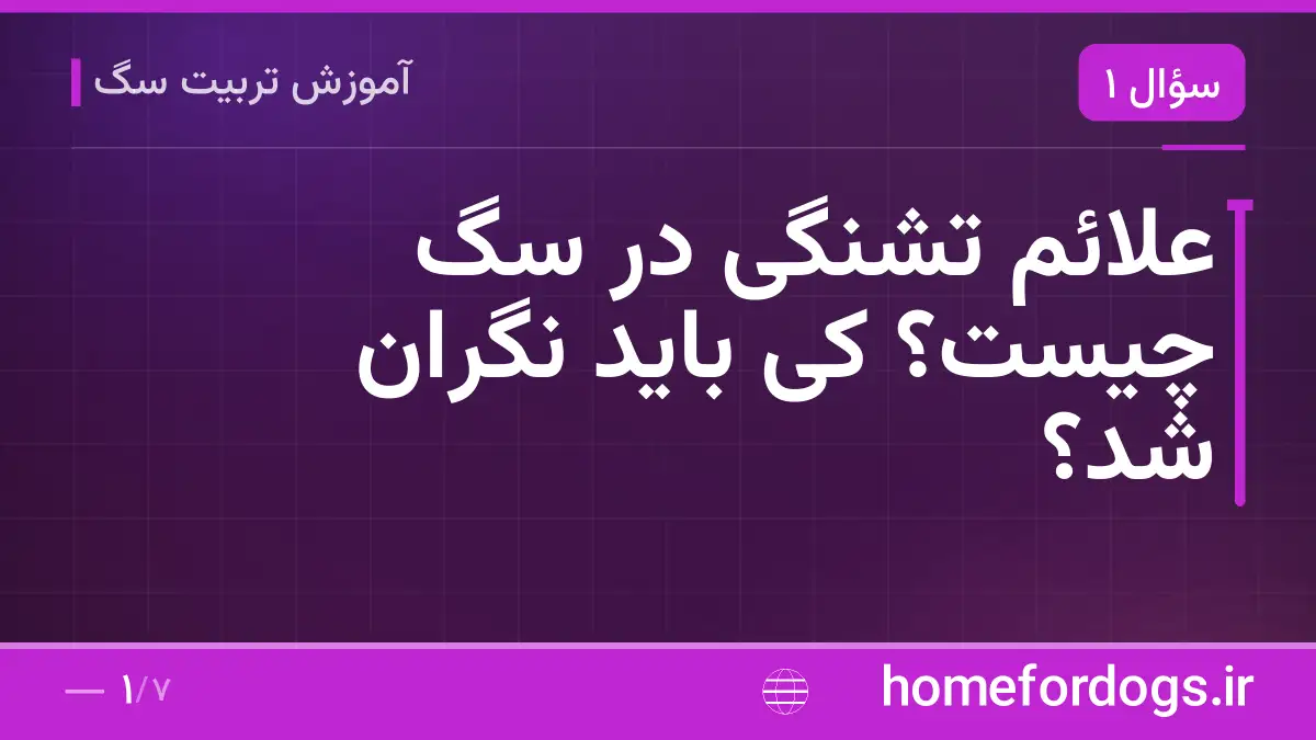 علائم تشنگی در سگ چیست؟ کی باید نگران شد؟