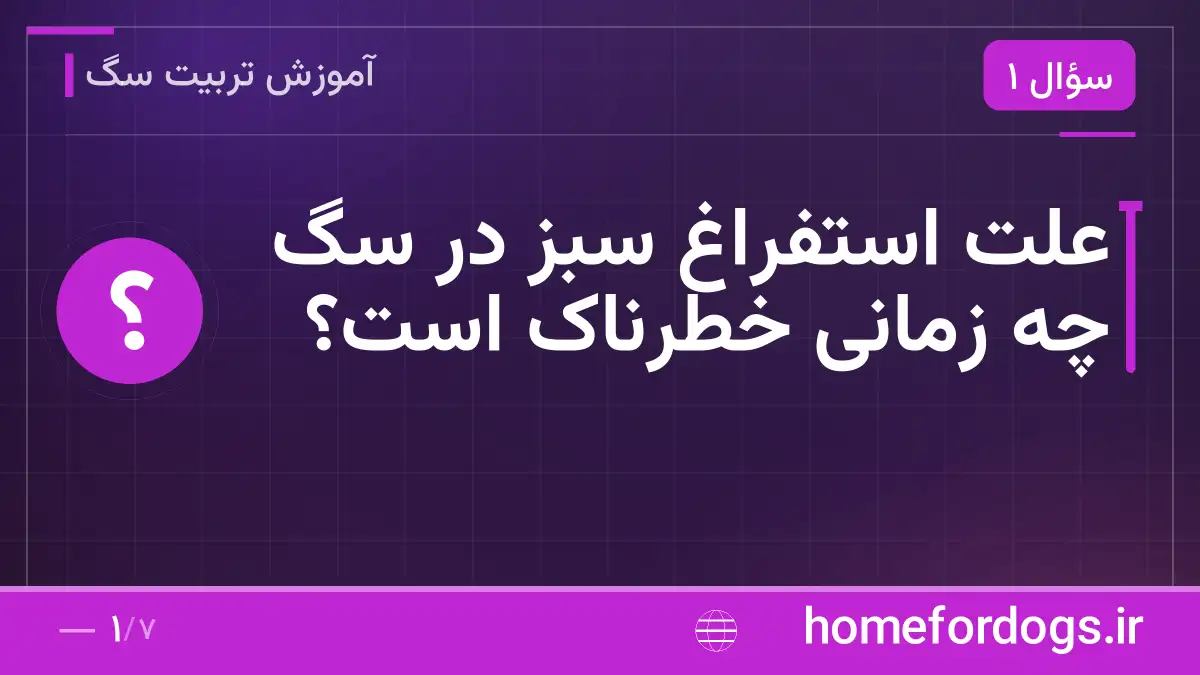 علت استفراغ سبز در سگ چه زمانی خطرناک است؟