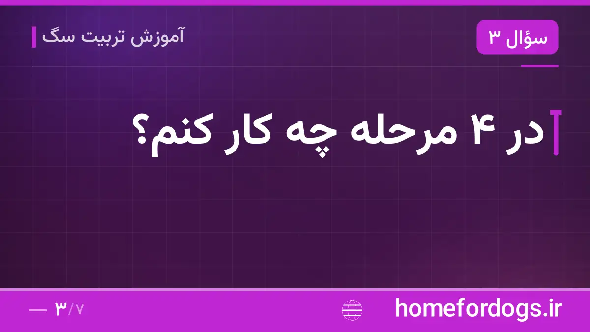 در ۴ مرحله چه کار کنم؟