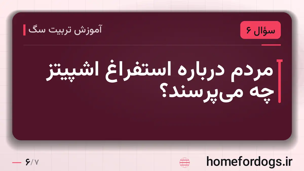 مردم درباره استفراغ اشپیتز چه می‌پرسند؟