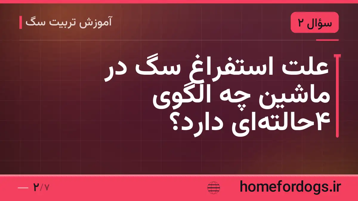 علت استفراغ سگ در ماشین چه الگوی ۴حالته‌ای دارد؟