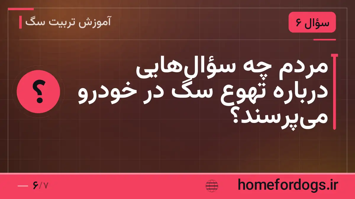مردم چه سؤال‌هایی دربارهٔ تهوع سگ در خودرو می‌پرسند؟