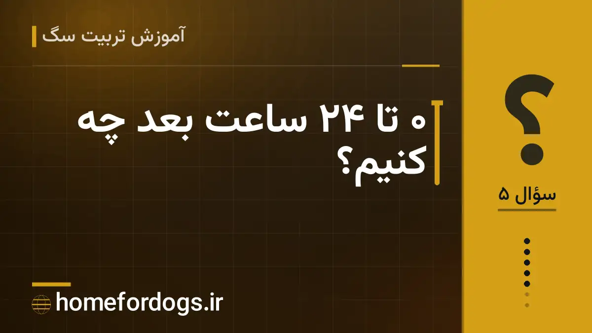 ۰ تا ۲۴ ساعت بعد چه کنیم؟