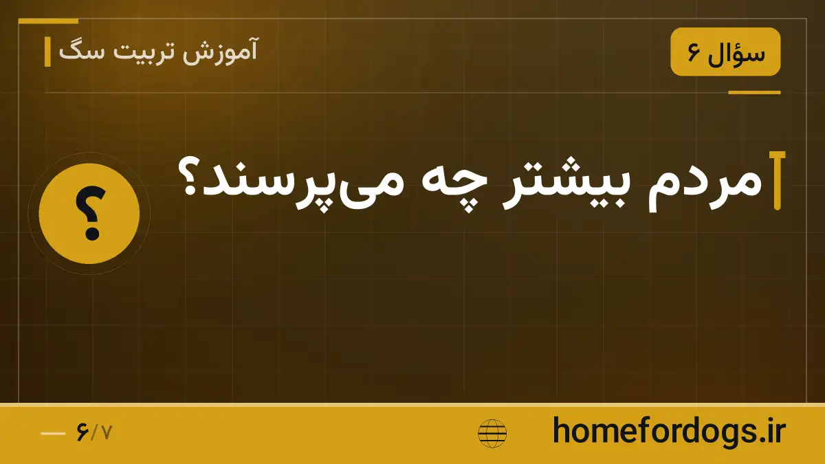 مردم بیشتر چه میپرسند؟