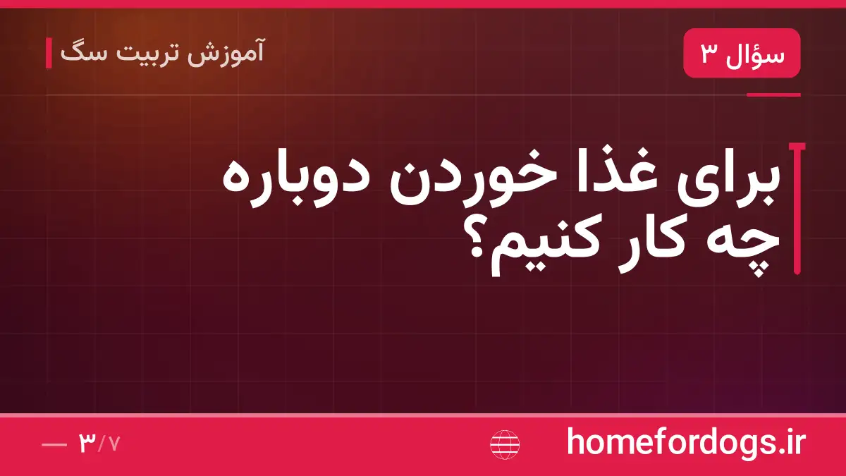 برای غذا خوردن دوباره چه کار کنیم؟