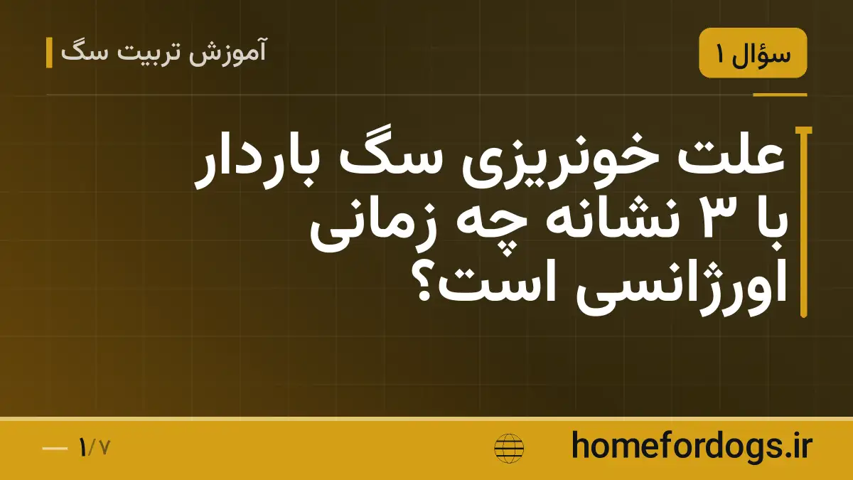 علت خونریزی سگ باردار با ۳ نشانه چه زمانی اورژانسی است؟