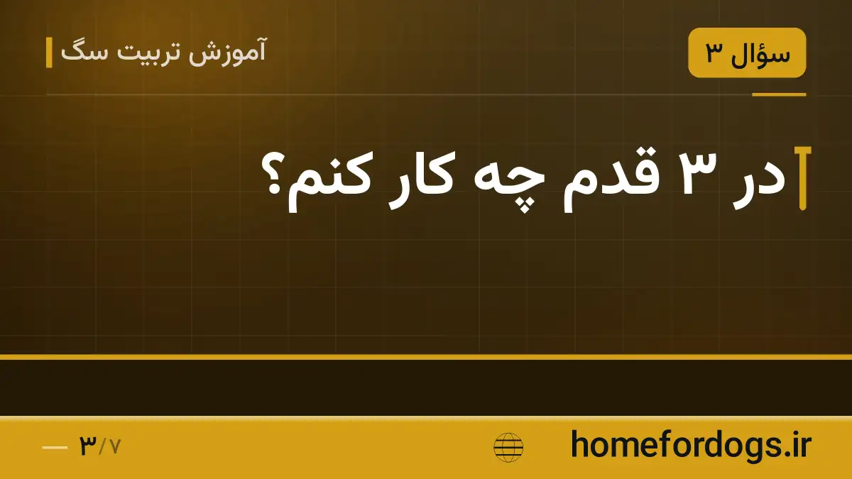 در ۳ قدم چه کار کنم؟