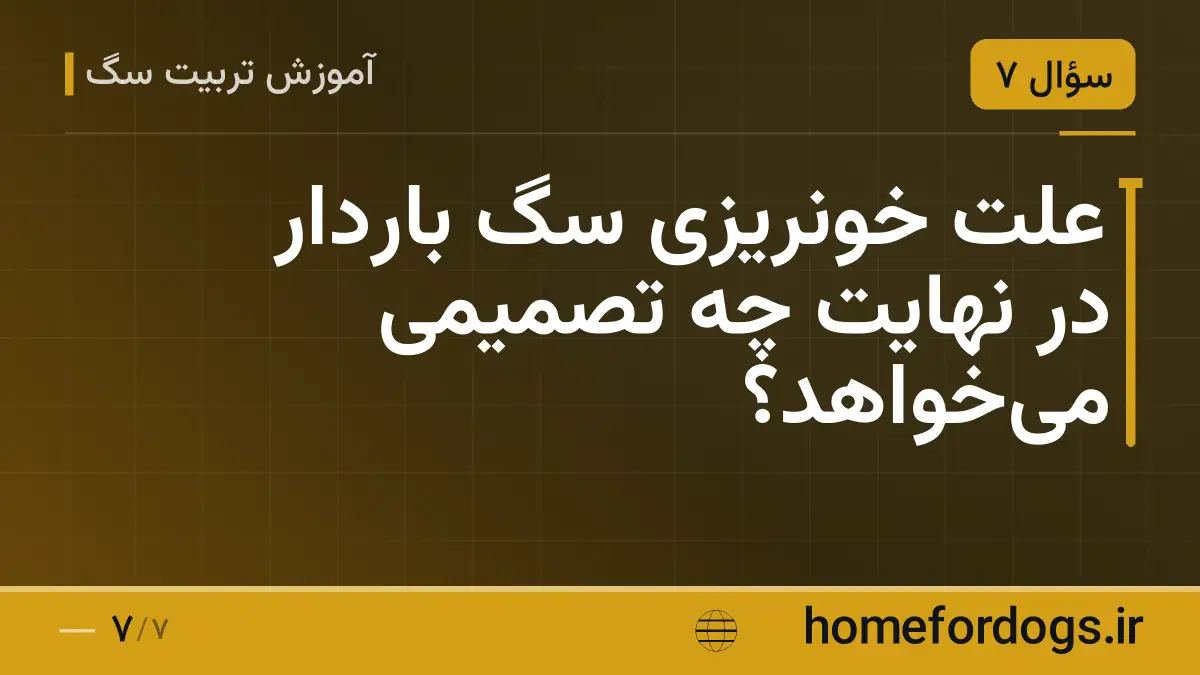 علت خونریزی سگ باردار در نهایت چه تصمیمی میخواهد؟