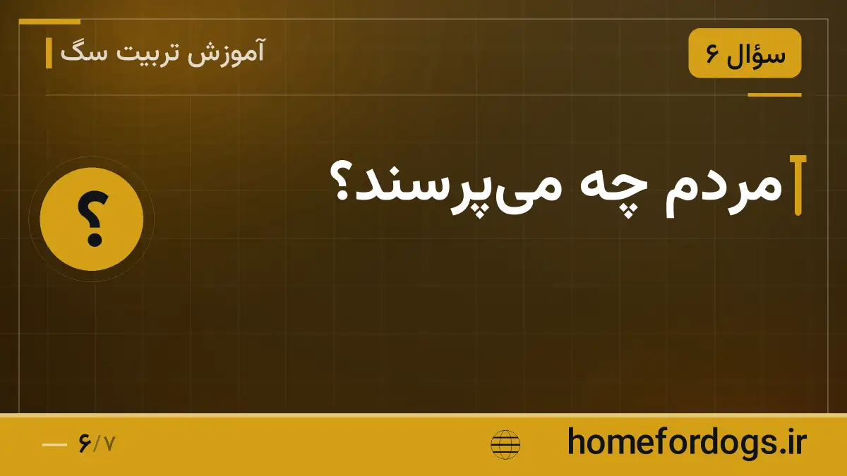 مردم چه میپرسند؟