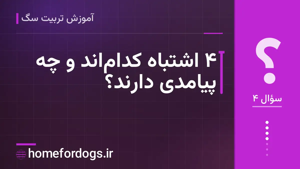 ۴ اشتباه کدام‌اند و چه پیامدی دارند؟