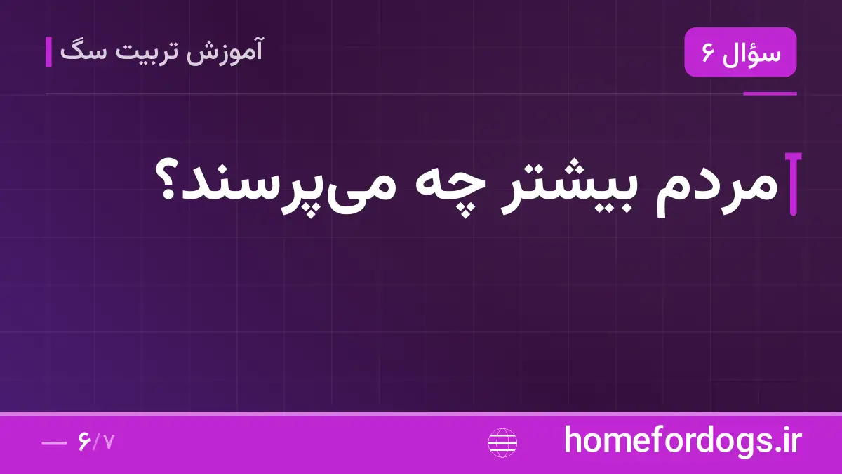 مردم بیشتر چه می‌پرسند؟