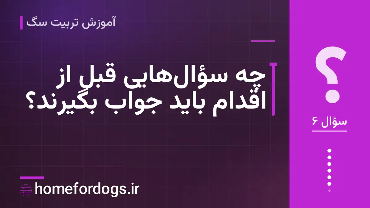 چه سؤالهایی قبل از اقدام باید جواب بگیرند؟