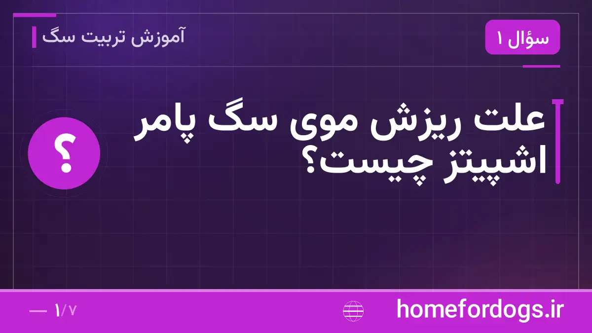 علت ریزش موی سگ پامر اشپیتز چیست؟