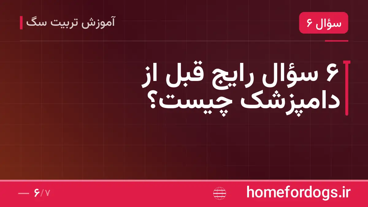 ۶ سؤال رایج قبل از دامپزشک چیست؟