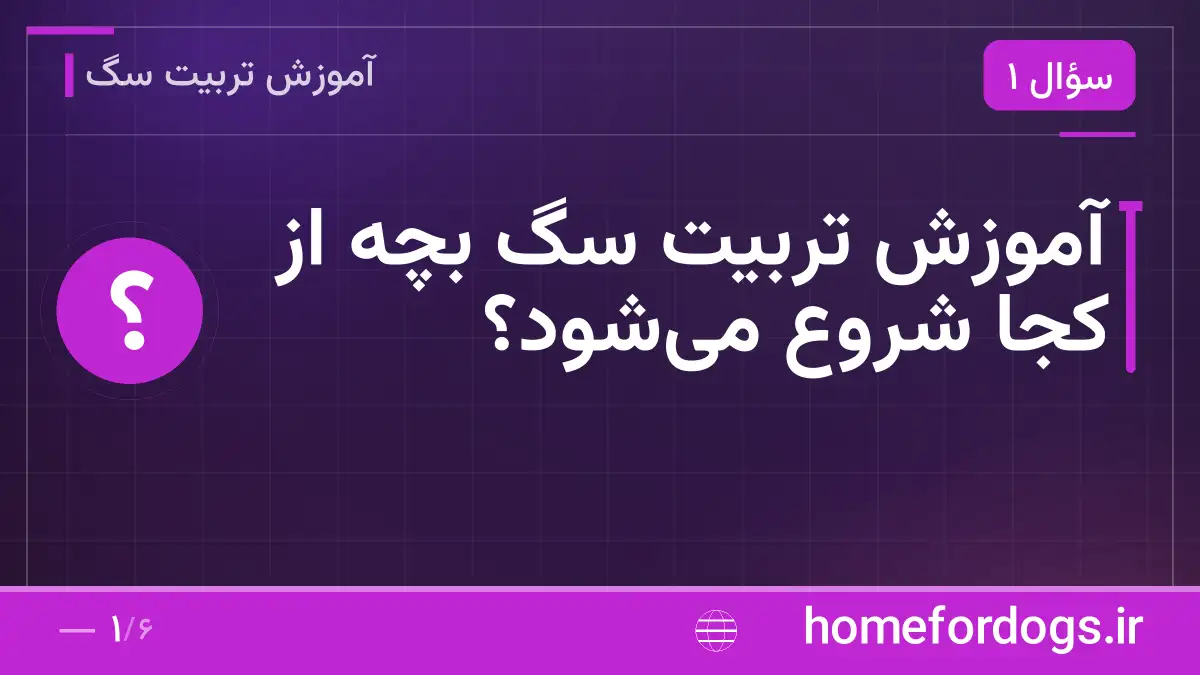 آموزش تربیت سگ بچه از کجا شروع می‌شود؟