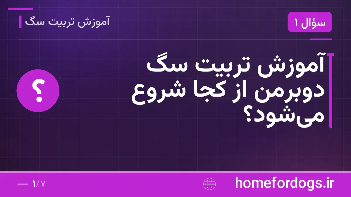 آموزش تربیت سگ دوبرمن از کجا شروع می‌شود؟