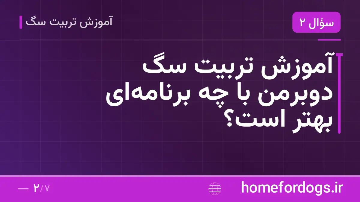 آموزش تربیت سگ دوبرمن با چه برنامه‌ای بهتر است؟