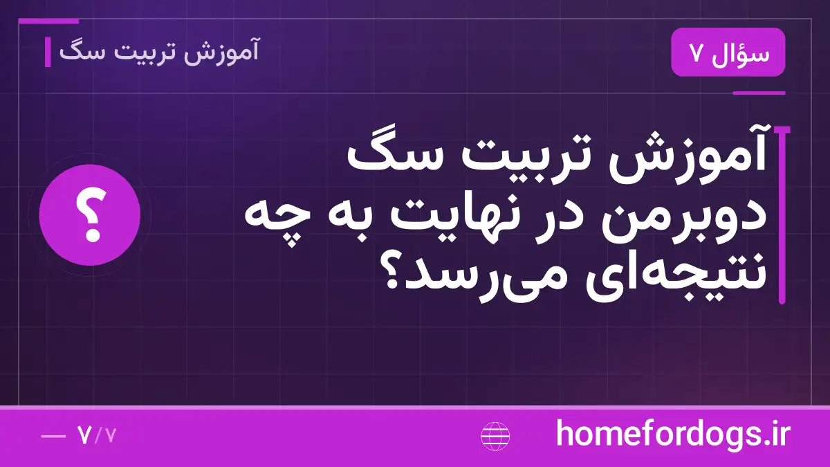 آموزش تربیت سگ دوبرمن در نهایت به چه نتیجه‌ای می‌رسد؟