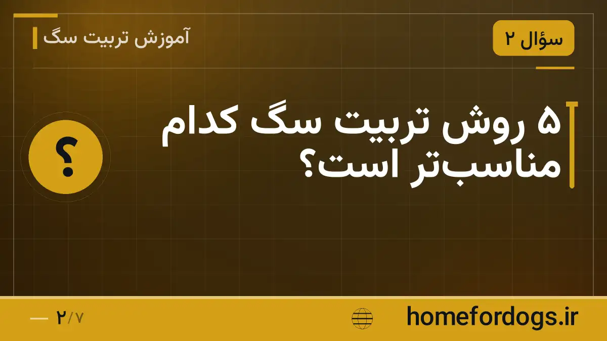 ۵ روش تربیت سگ کدام مناسب‌تر است؟