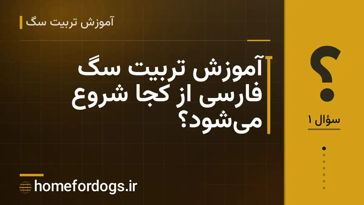 آموزش تربیت سگ فارسی از کجا شروع می‌شود؟