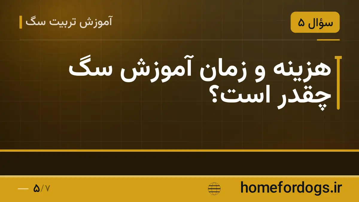 هزینه و زمان آموزش سگ چقدر است؟