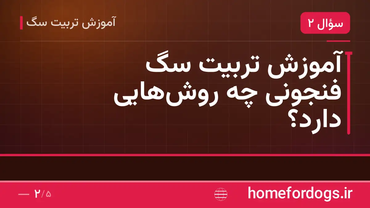آموزش تربیت سگ فنجونی چه روشهایی دارد؟