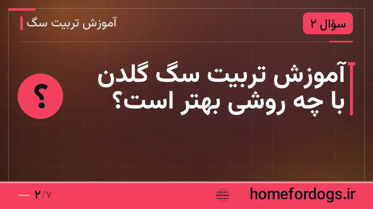 آموزش تربیت سگ گلدن با چه روشی بهتر است؟