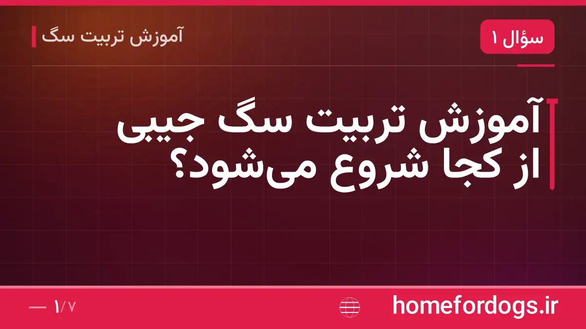 آموزش تربیت سگ جیبی از کجا شروع میشود؟