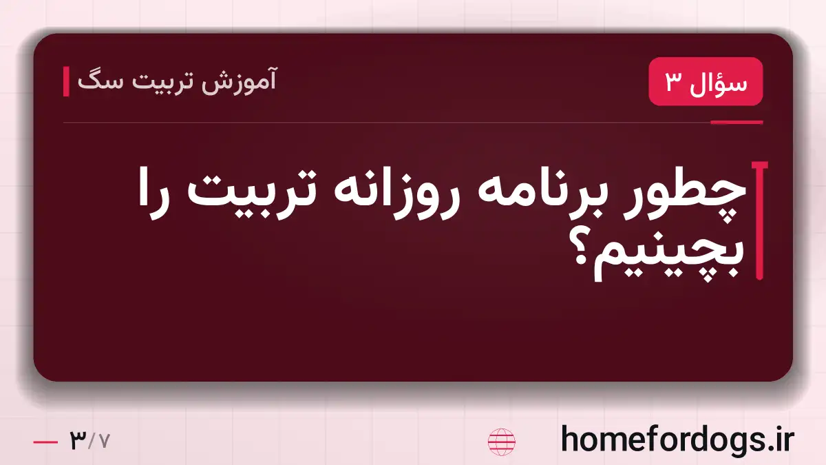 چطور برنامه روزانه تربیت را بچینیم؟