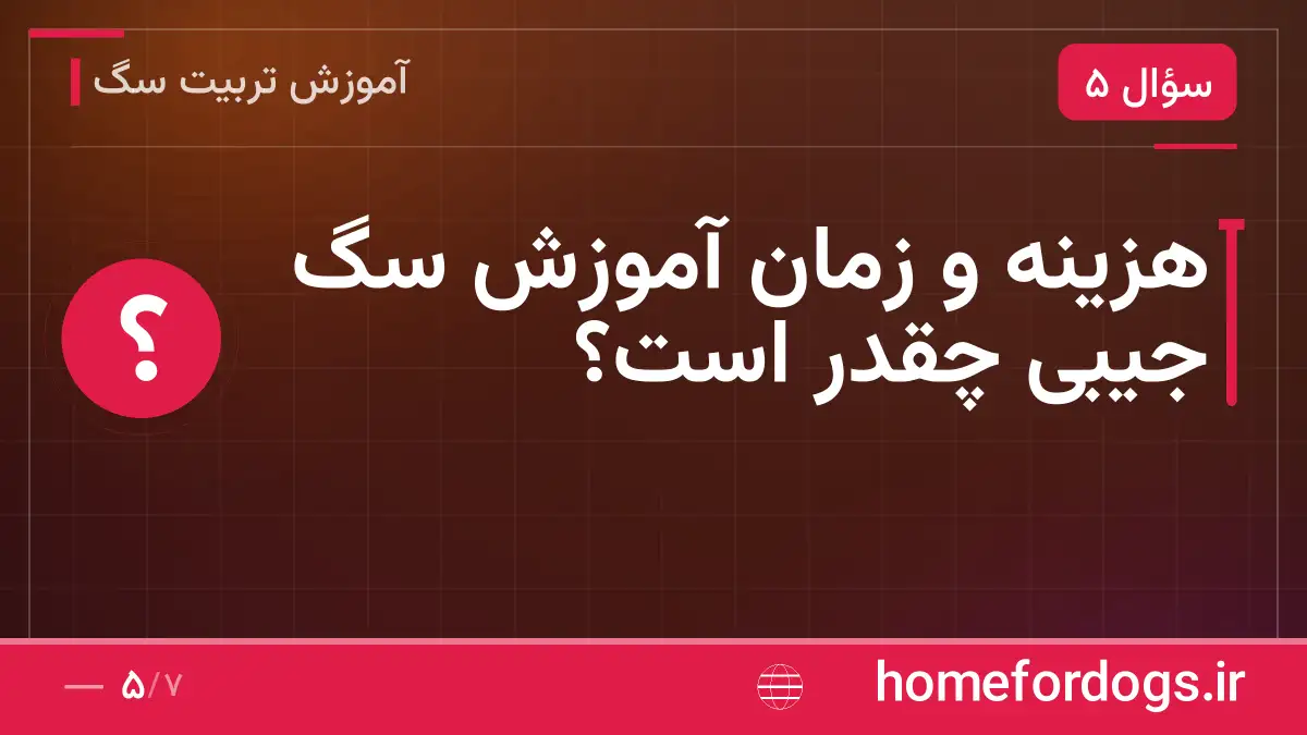 هزینه و زمان آموزش سگ جیبی چقدر است؟