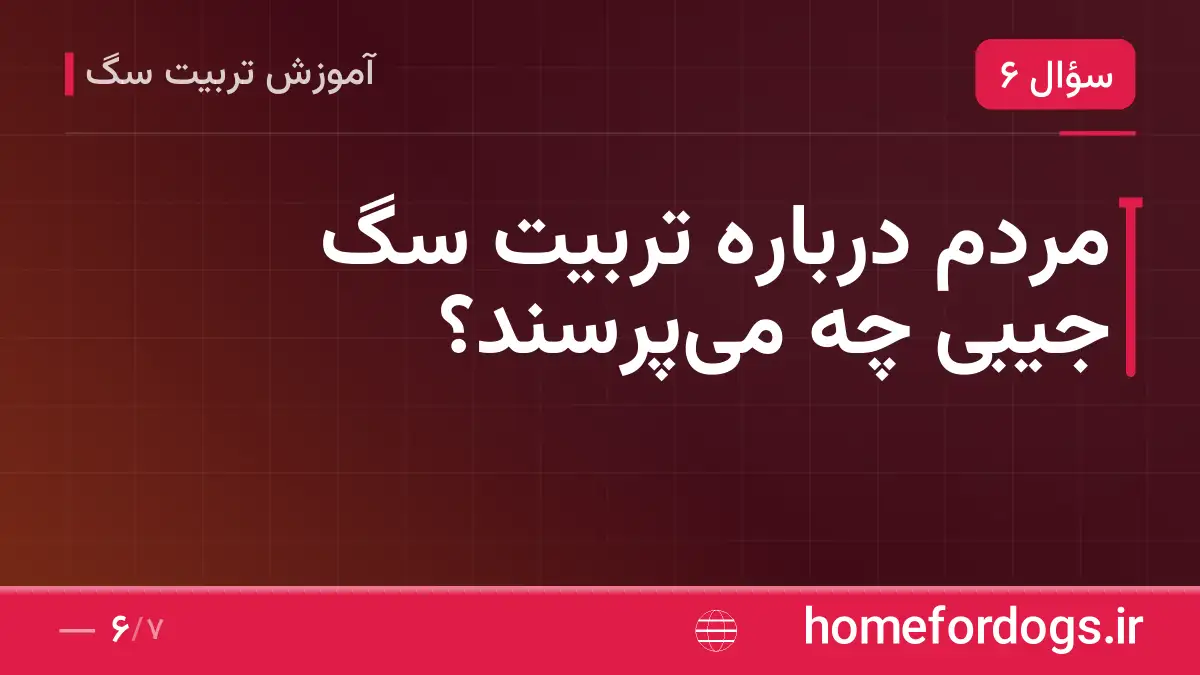 مردم درباره تربیت سگ جیبی چه میپرسند؟