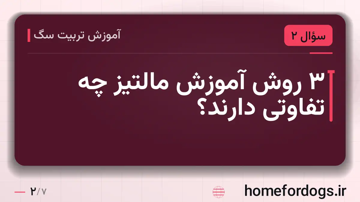 ۳ روش آموزش مالتیز چه تفاوتی دارند؟