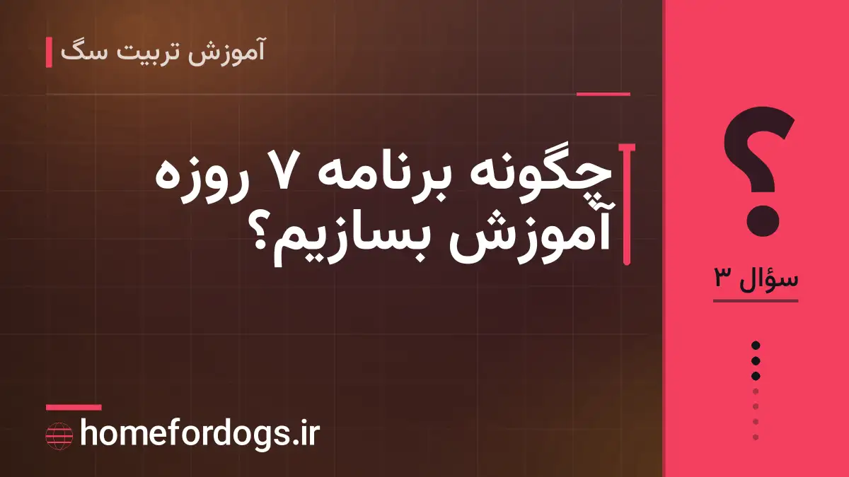چگونه برنامه ۷ روزه آموزش بسازیم؟