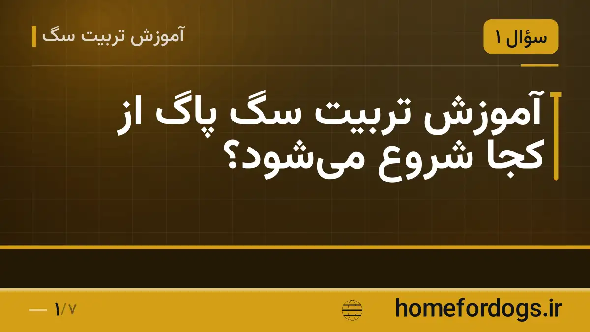 آموزش تربیت سگ پاگ از کجا شروع می‌شود؟