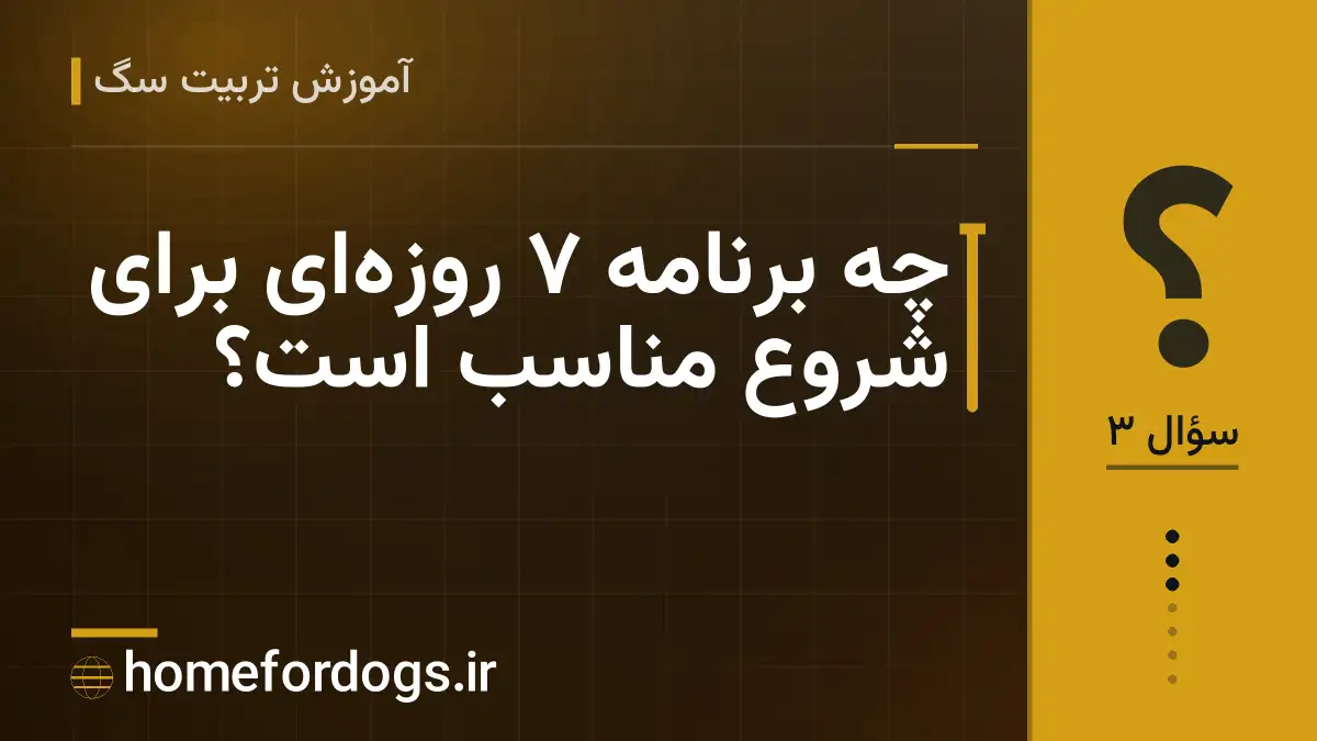 چه برنامه ۷ روزه‌ای برای شروع مناسب است؟