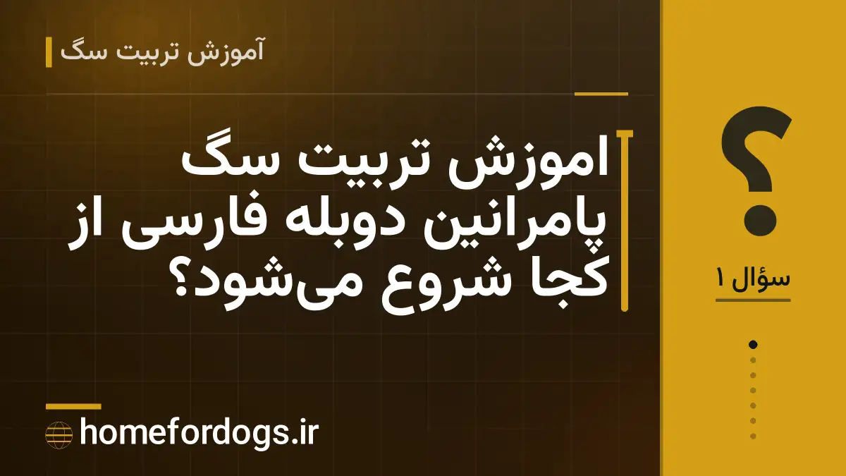 اموزش تربیت سگ پامرانین دوبله فارسی از کجا شروع میشود؟