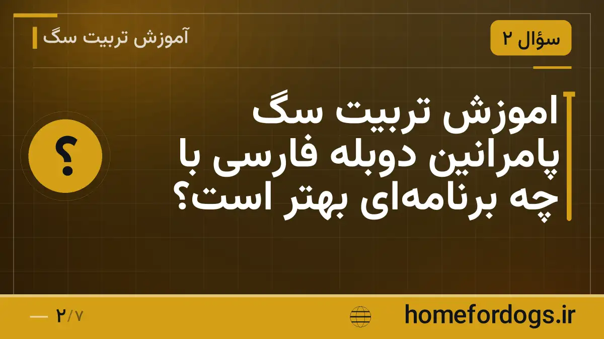 اموزش تربیت سگ پامرانین دوبله فارسی با چه برنامهای بهتر است؟