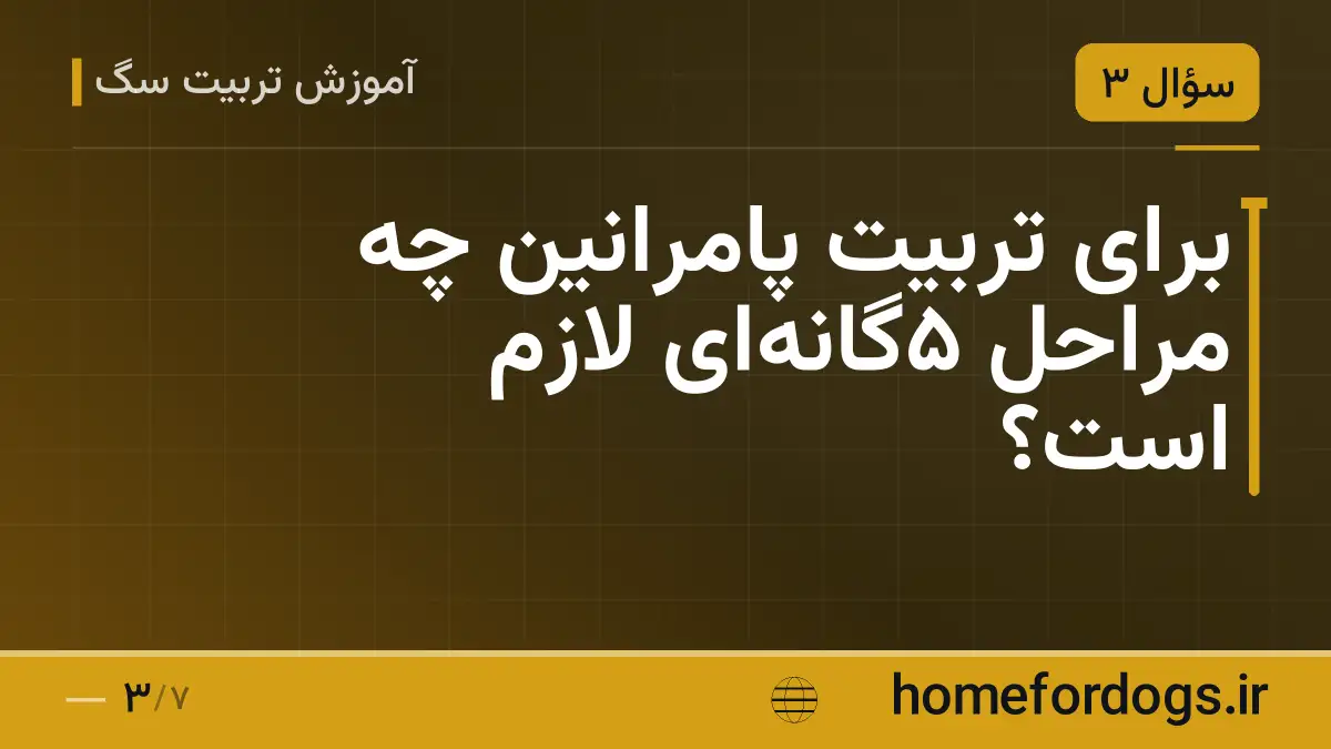 برای تربیت پامرانین چه مراحل ۵گانهای لازم است؟