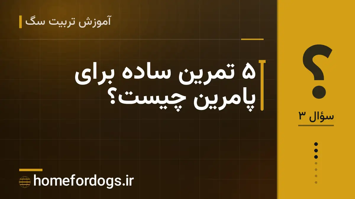 ۵ تمرین ساده برای پامرین چیست؟