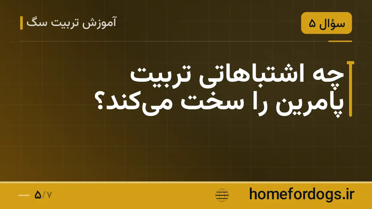 چه اشتباهاتی تربیت پامرین را سخت می‌کند؟