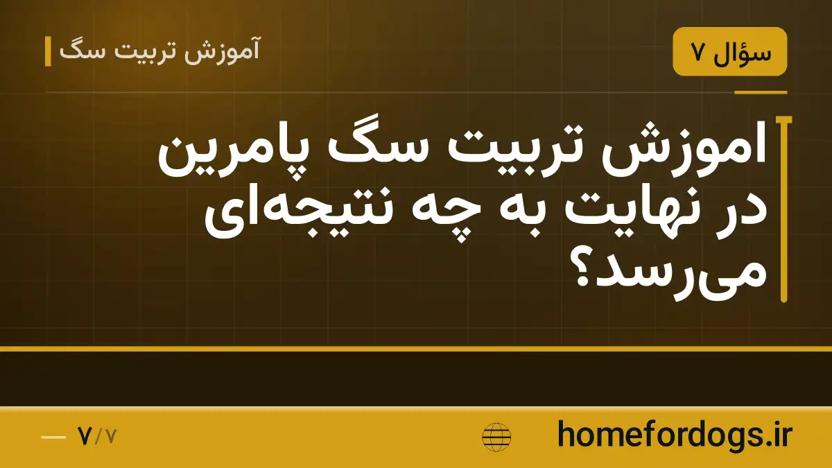 اموزش تربیت سگ پامرین در نهایت به چه نتیجه‌ای می‌رسد؟