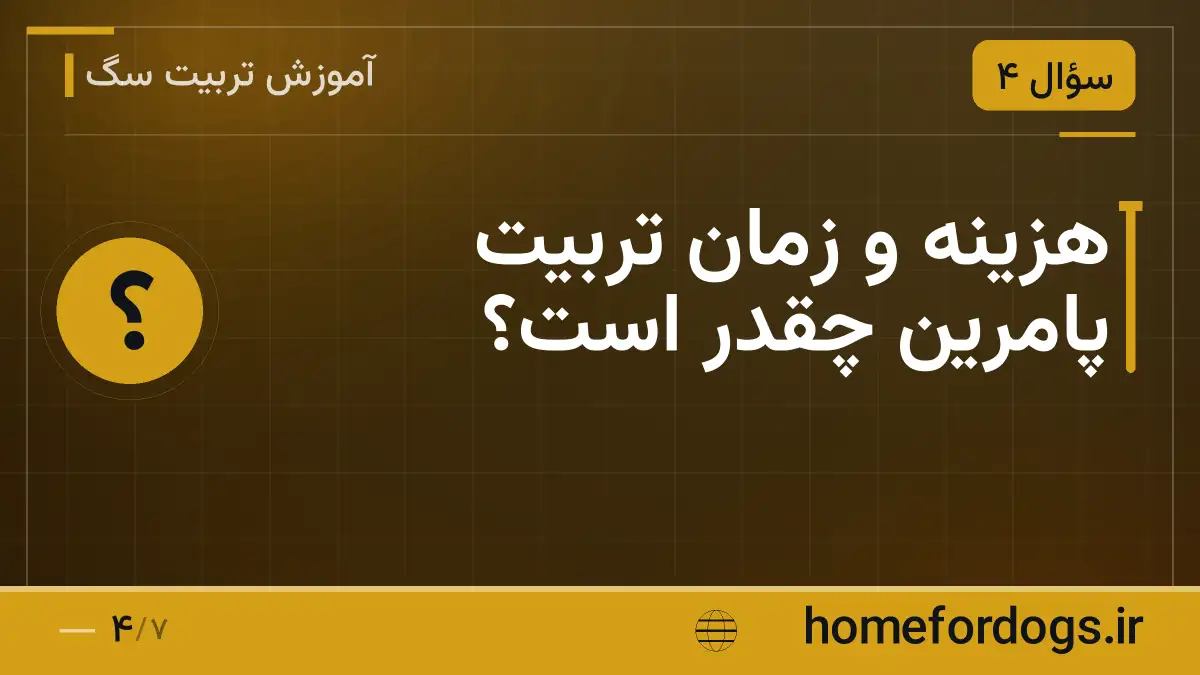 هزینه و زمان تربیت پامرین چقدر است؟